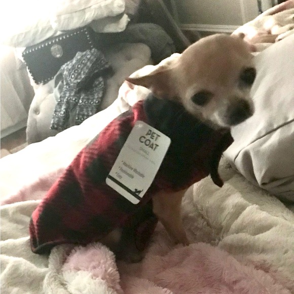 🎉Host Pick🎉 Red & Black Pet Jacket Sz S - Picture 2 of 4